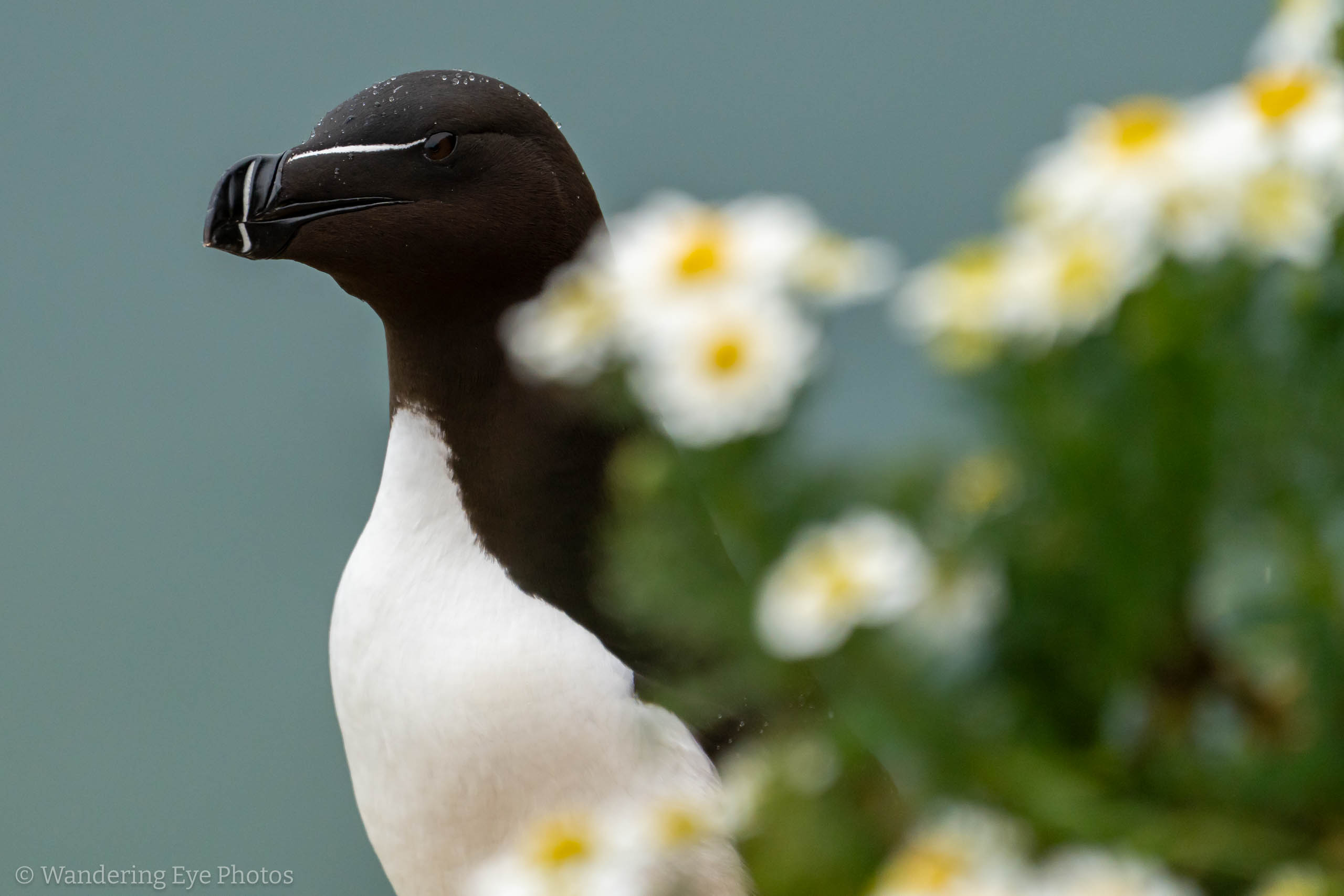 2023 06 27 13.22.21 DSC00709